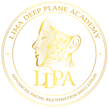 Lima Deep Plane Academy Logo